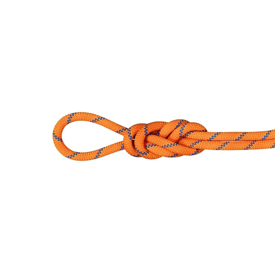 Mammut 9.0 Alpine Sender Dry Rope 50m Sunrise-ice