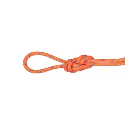Mammut 7.5 Alpine Sender Dry Rope 70m Fire-blue