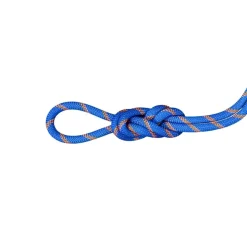 Mammut 9.0 Alpine Sender Dry Rope 50m Ice-sunrise