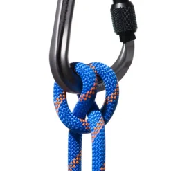 Mammut 9.0 Alpine Sender Dry Rope 50m Ice-sunrise