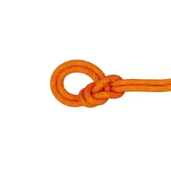 Mammut 9.8 Crag Dry Rope 80m Vibrant Orange-boa