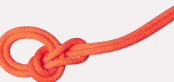 Mammut 9.8 Crag Dry Rope 80m Vibrant Orange-lavandin