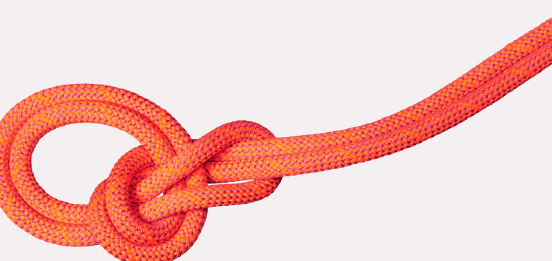 Mammut 9.8 Crag Dry Rope 80m Vibrant Orange-lavandin
