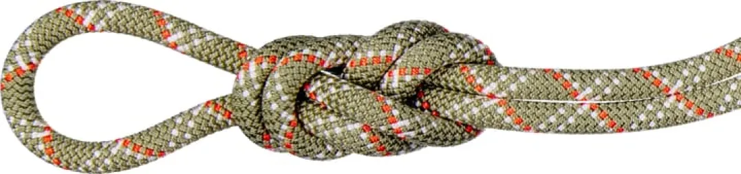 Mammut 9.5 Gym Classic Rope 40M Boa-white