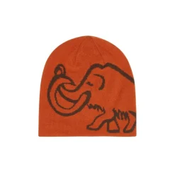 Mammut Logo Beanie Reversible Autumn Larice-soil