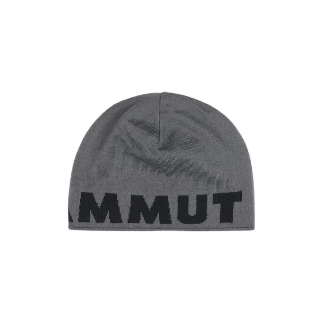 Mammut Mammut Logo Beanie Steel-black
