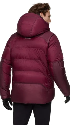 Mammut Men's Taiss Pro Belay IN Hooded Jacket Vin