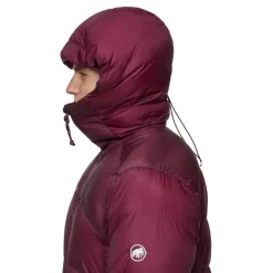 Mammut Men's Taiss Pro Belay IN Hooded Jacket Vin