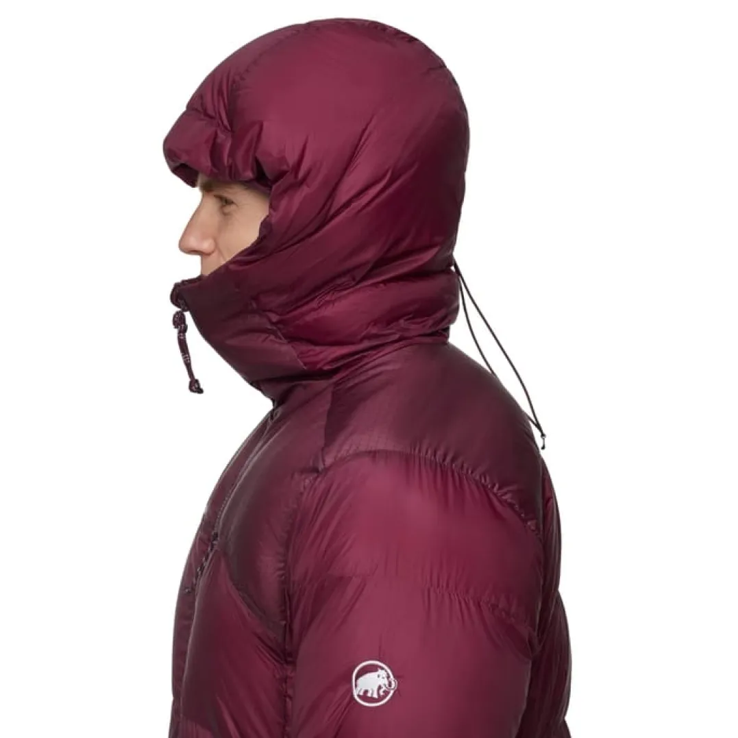 Mammut Men's Taiss Pro Belay IN Hooded Jacket Vin