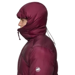 Mammut Men's Taiss Pro Belay IN Hooded Jacket Vin