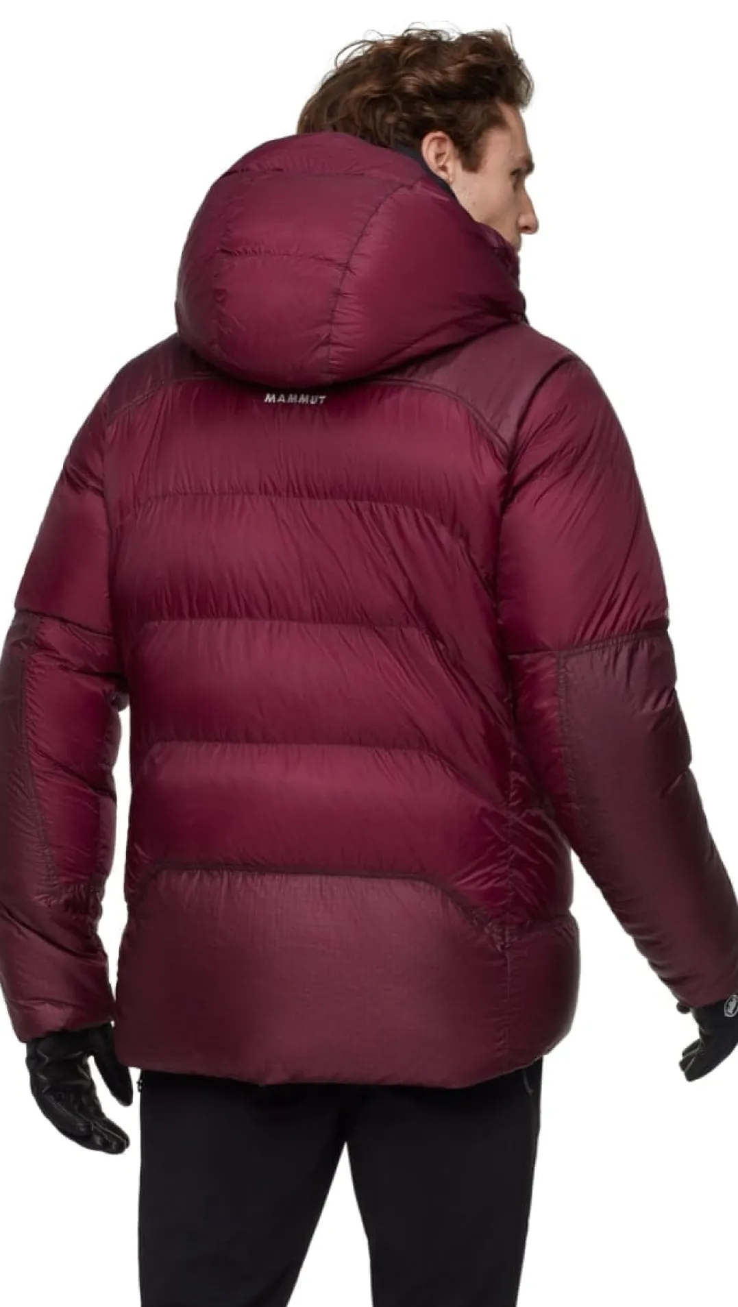 Mammut Men's Taiss Pro Belay IN Hooded Jacket Vin