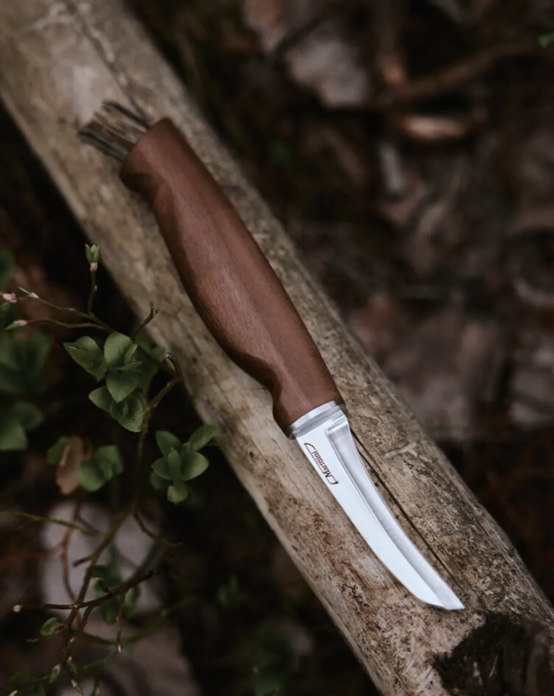 Marttiini Mushroom Knife Kerääjä Box