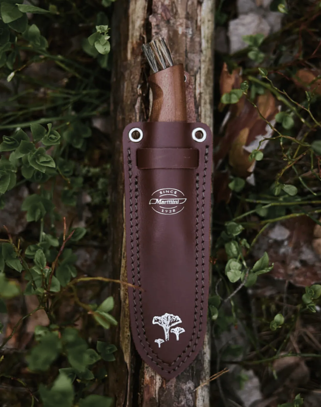Marttiini Mushroom Knife Kerääjä Box