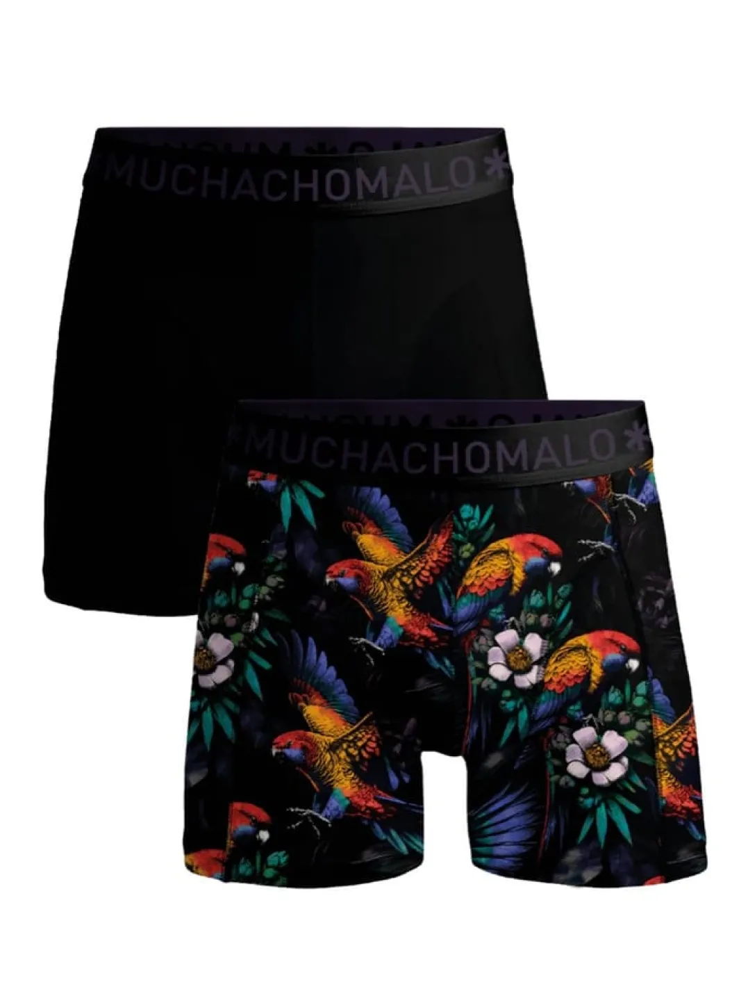 Muchachomalo 1010 Parrot 01 2pk Boxer Print/Solid Cm Print/solid