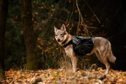 Non-stop Dogwear AmundsenGray/Black