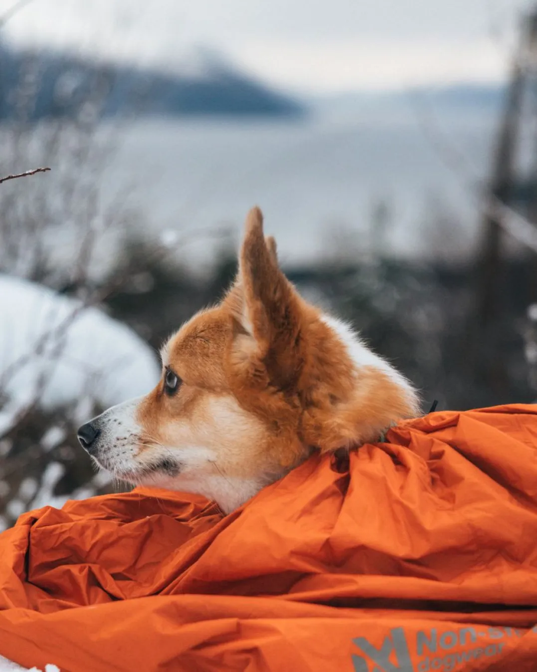 Non-stop Dogwear Bivvy Bag Orange Small