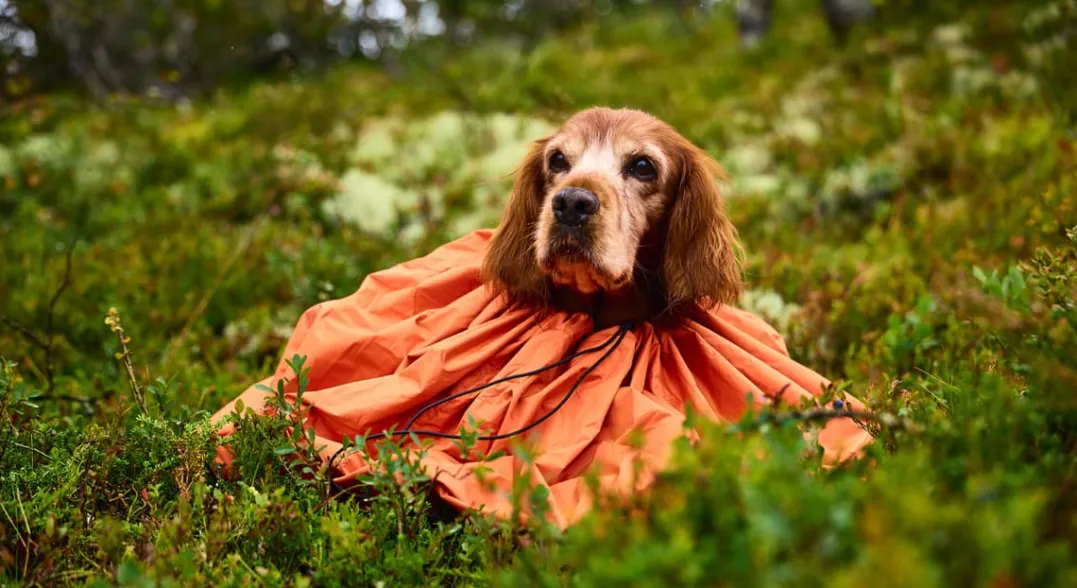Non-stop Dogwear Bivvy Bag Orange Small