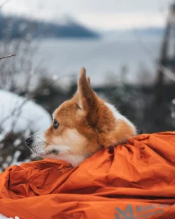 Non-stop Dogwear Bivvy Bag Orange Small
