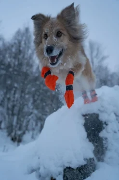 Non-stop Dogwear Contact Bootie High Orange