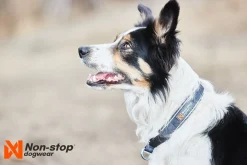 Non-stop Dogwear Cruise Collar Orange
