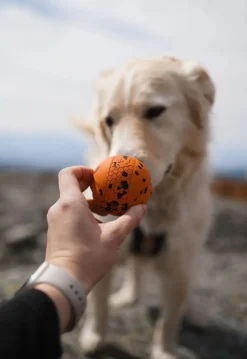 Non-stop Dogwear Dog Ball 60x60 Orange/black