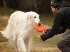 Non-stop Dogwear Dog Flying Disc Orange/black
