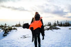 Non-stop Dogwear Dog Rescue Sling Orange