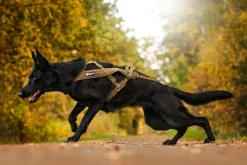 Non-stop Dogwear Freemotion Harness Defense Green