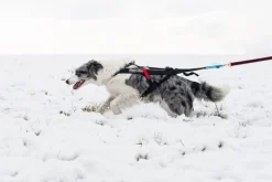Non-stop Dogwear Freemotion Harness Black