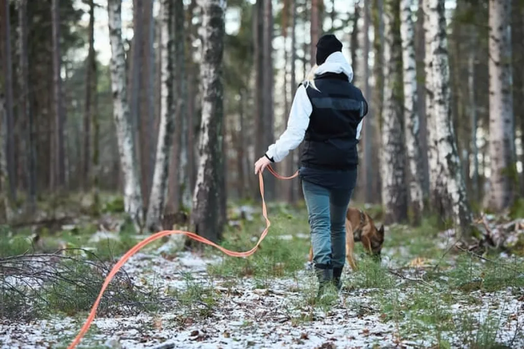 Non-stop Dogwear Friction Long Line Orange