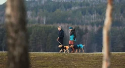 Non-stop Dogwear Glacier Dog Jacket 2.0 - Small Sizes Black/Orange