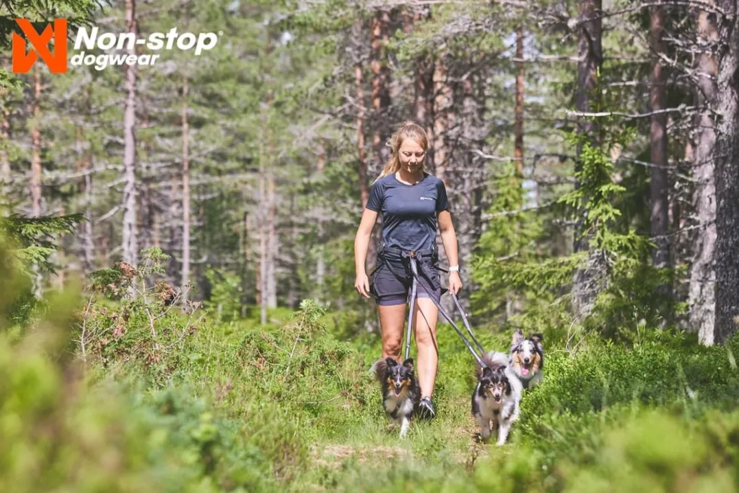 Non-stop Dogwear Line Harness 5.0 Black