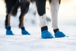 Non-stop Dogwear Long Distance Booties 4-pack (2021) Blue