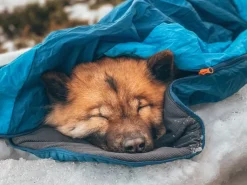 Non-stop Dogwear Ly Sleepingbag For Dog Blue