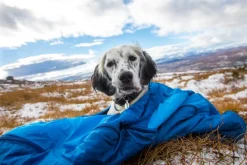 Non-stop Dogwear Ly Sleepingbag For Dog Blue