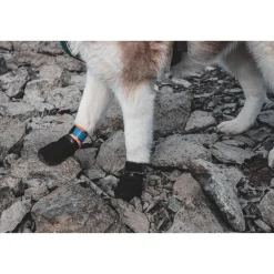 Non-stop Dogwear Protector Bootie 4pk Black