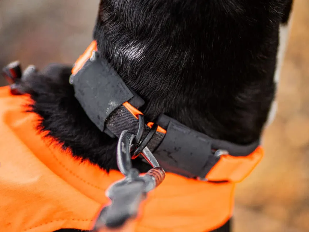 Non-stop Dogwear Protector Collar Orange