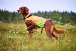 Non-stop Dogwear Protector Round Long Line 10m Orange