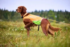 Non-stop Dogwear Protector Round Long Line 10m Orange