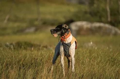 Non-stop Dogwear Protector Vest 2.0 Orange