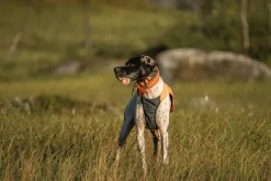 Non-stop Dogwear Protector Vest 2.0 Orange