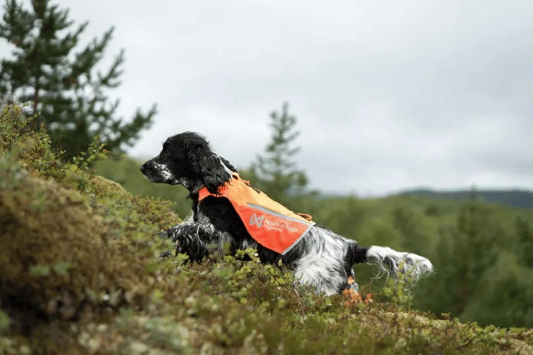 Non-stop Dogwear Protector Vest 2.0 Orange