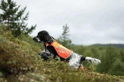 Non-stop Dogwear Protector Vest 2.0 Orange