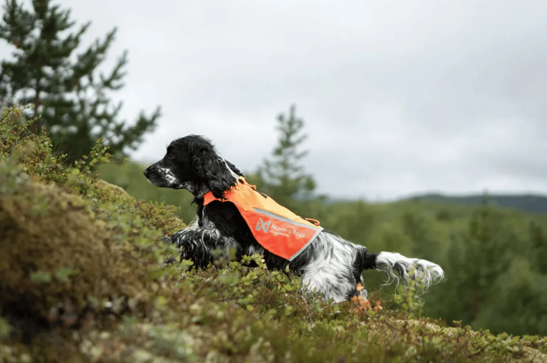Non-stop Dogwear Protector Vest 2.0 Orange
