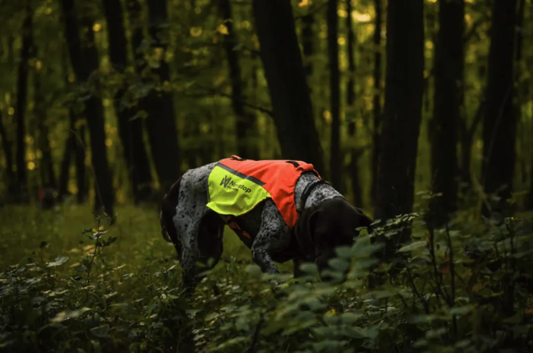 Non-stop Dogwear Protector Vest 2.0 Orange