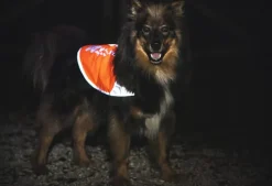 Non-stop Dogwear Reflection Blanket Orange