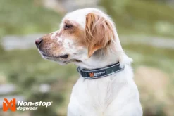 Non-stop Dogwear Roam Collar Black