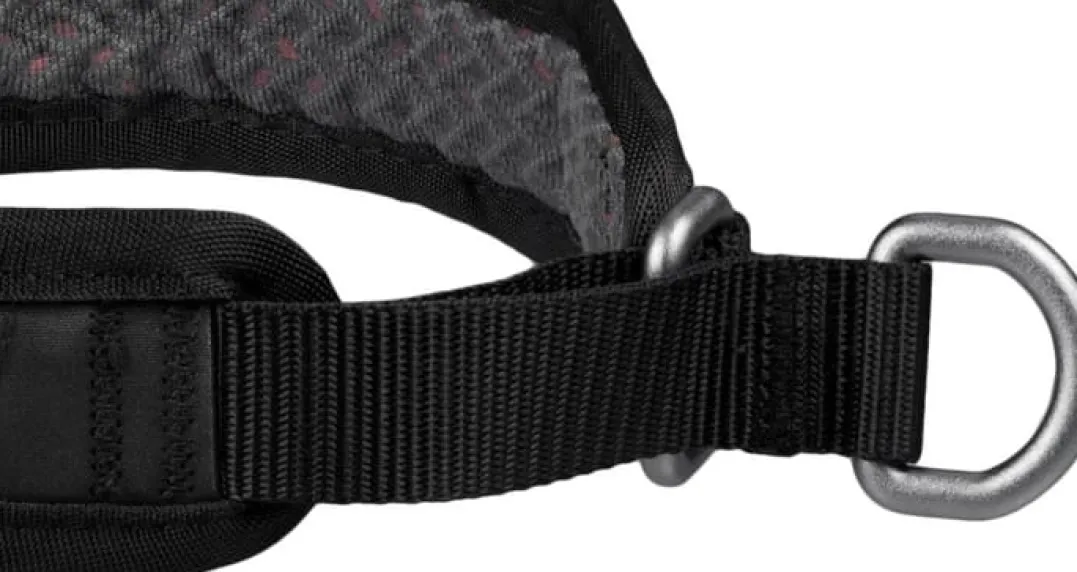 Non-stop Dogwear Rock Collar 3.0 Orange