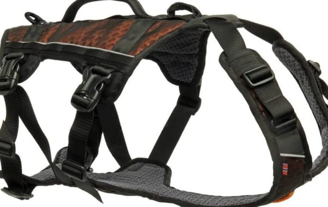 Non-stop Dogwear Rock Harness Long Black/Orange S