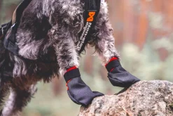 Non-stop Dogwear Solid Booties Black